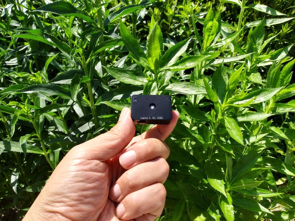 XL 500 BLE Spectroradiometer For Agriculture Measuring PPFD DLI xl-500-ble-spectroradiometer-for-agriculture-measuring-ppfd-dli